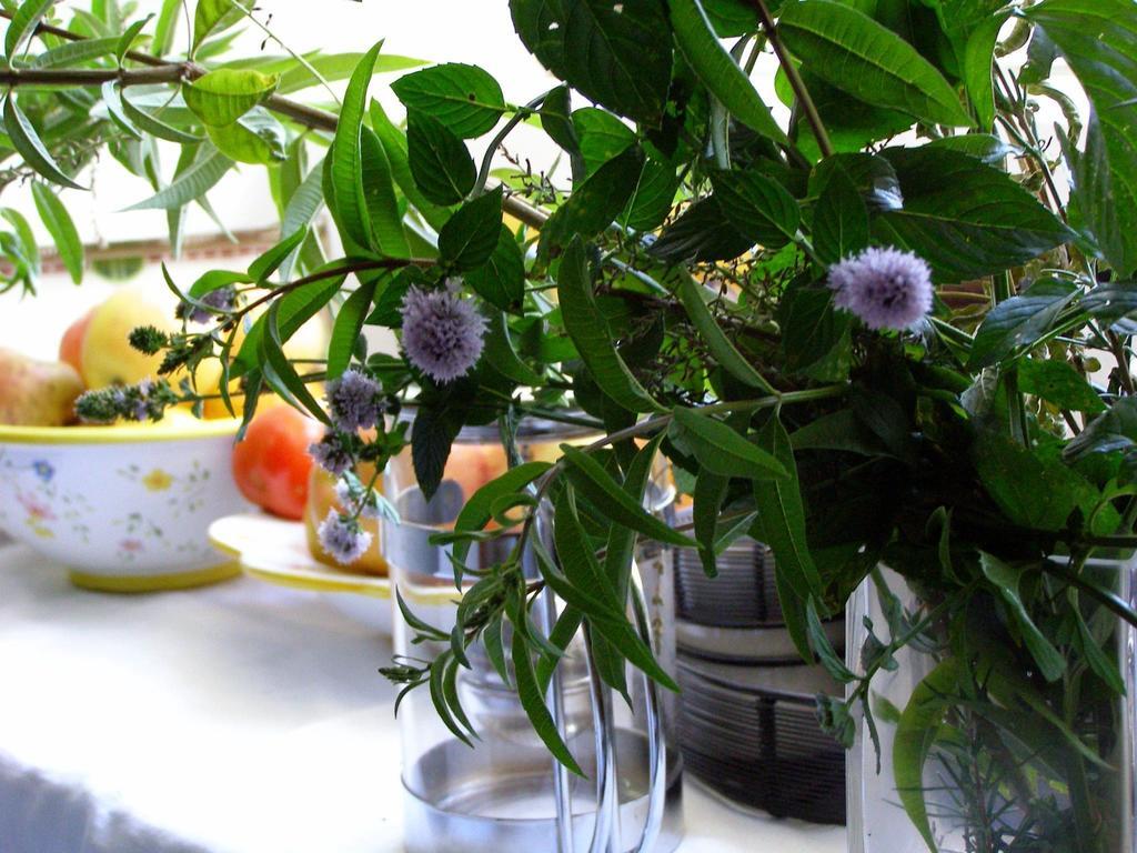 Cozy Holiday Home In Porto Do Son Near Beach ปอร์โตซิน ภายนอก รูปภาพ